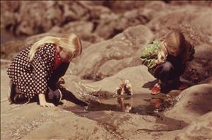 Two children lean over a tide pool between rocks. There are two Barbie dolls between them who are also leaning over the tide pool. 